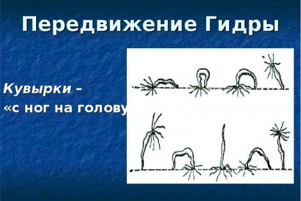 Что продает маркетплейс кракен
